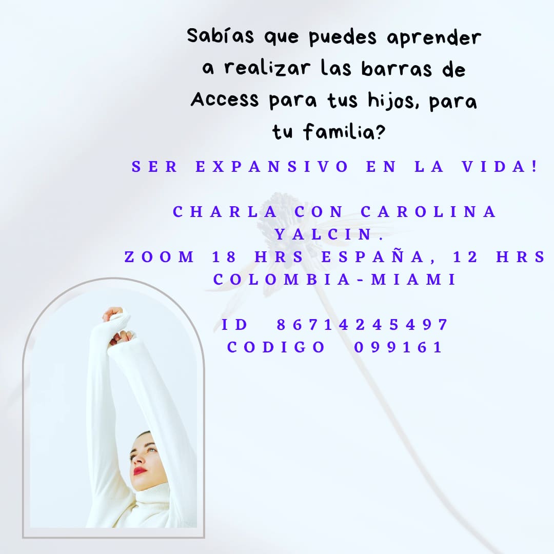 Tener una experiencia con las barras de Access