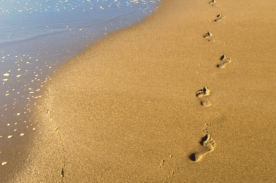 Biodescodificación: descubriéndonos