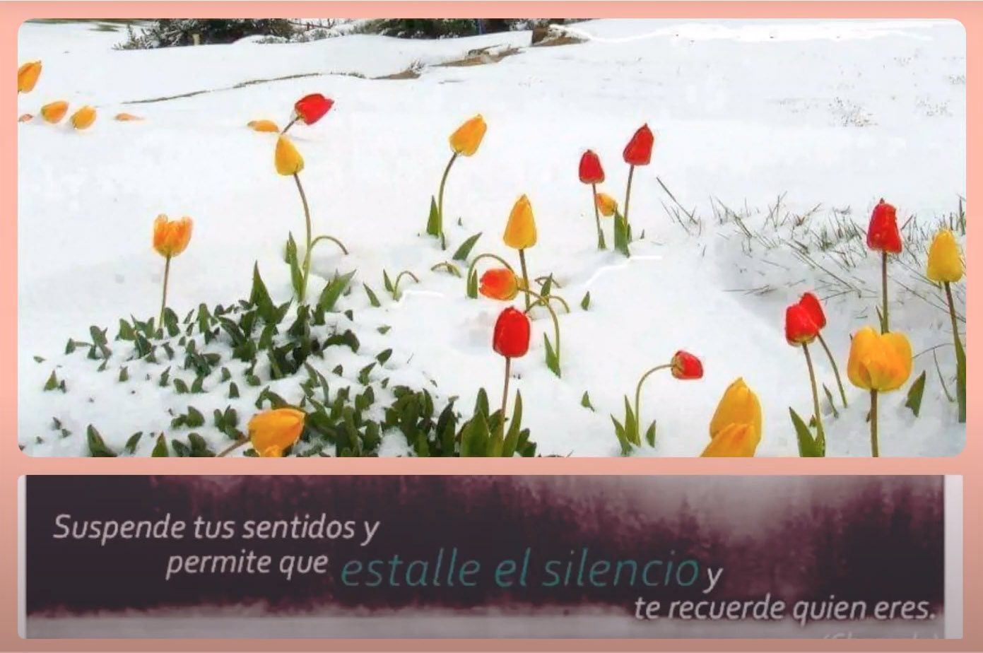 Meditación de la luna llena