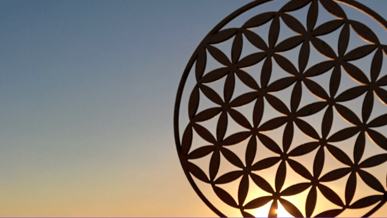 La flor de la vida: un camino al amor