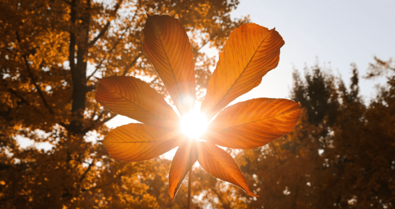 Noviembre – Tiempo de&nbsp;encuentro